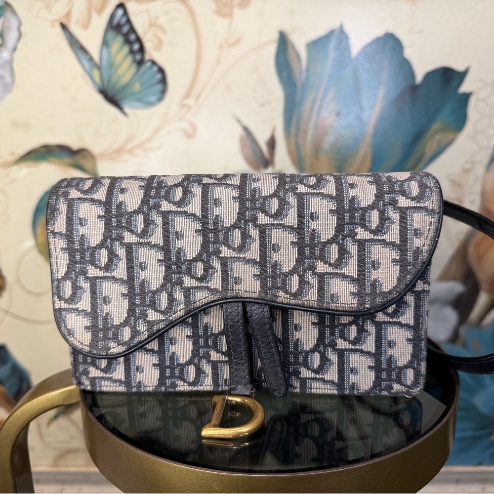 Christian Dior saddle canvas belt bag